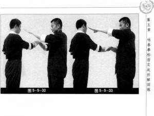 圖片113